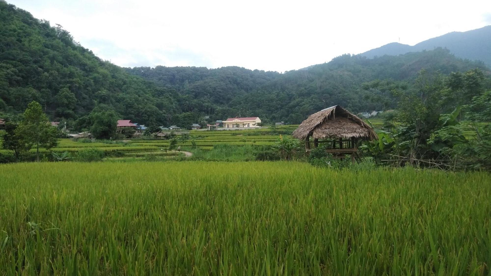 Puluong Aroma Bed & Breakfast Huong Ba Thuoc ภายนอก รูปภาพ