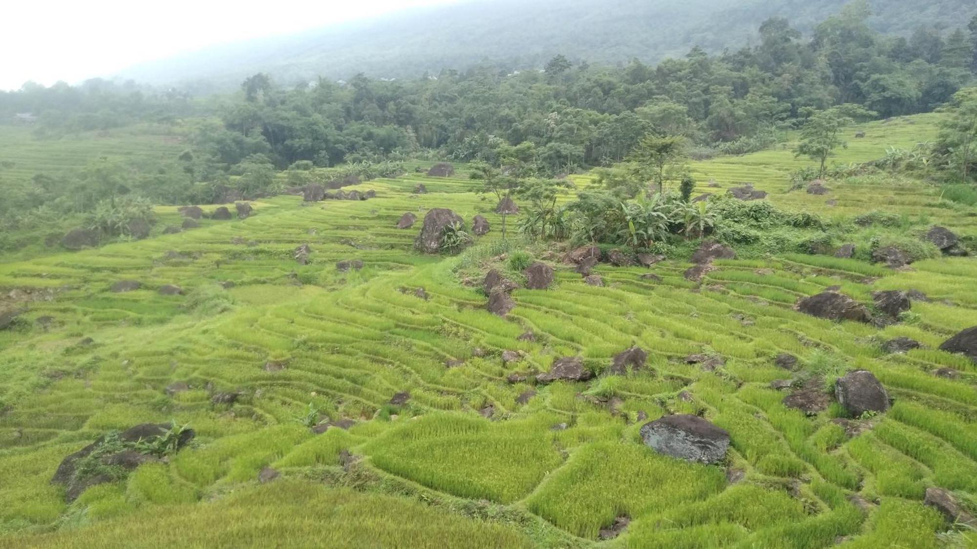 Puluong Aroma Bed & Breakfast Huong Ba Thuoc ภายนอก รูปภาพ